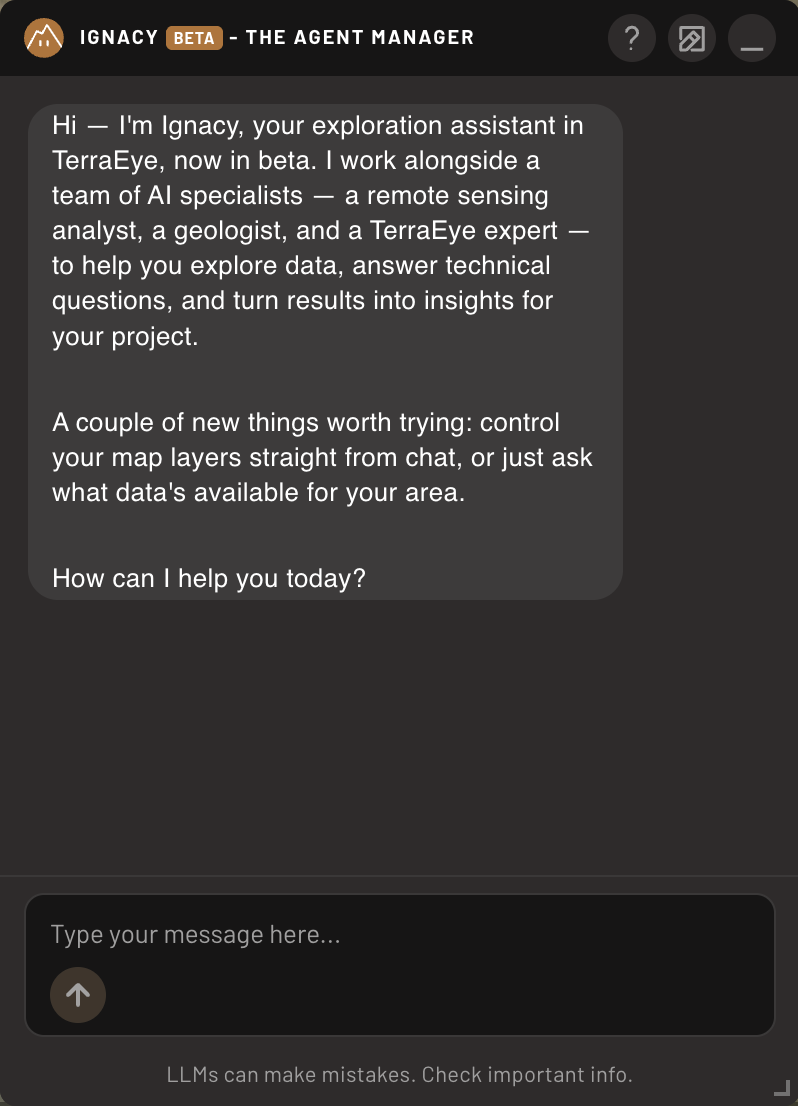 Ignacy Chat Assistant